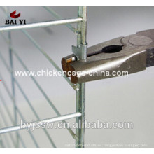 Galvanizado Q235 Farm Used Pigeon Cage